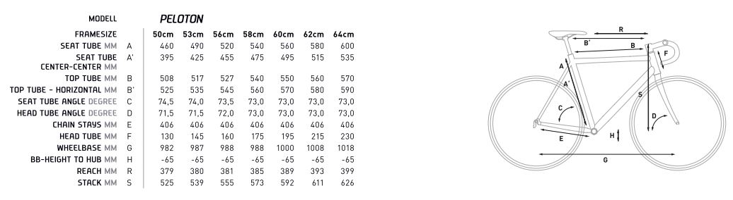 what are the dimensions of a peloton bike