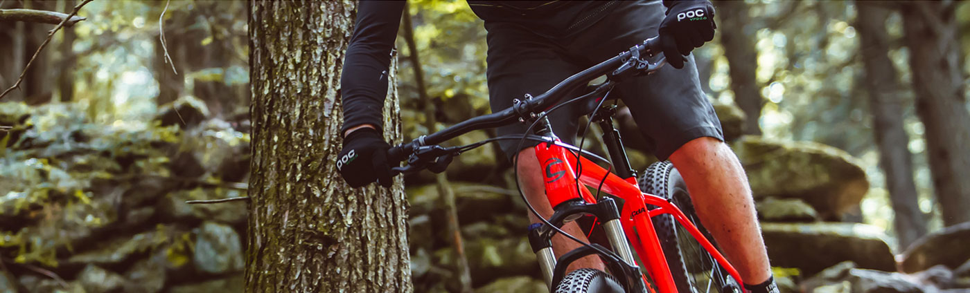 Cujo bike cannondale 2019