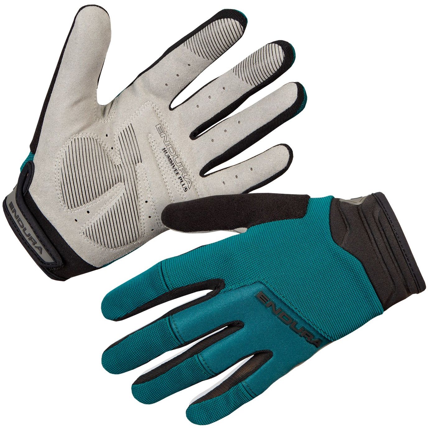 Teal/Grey