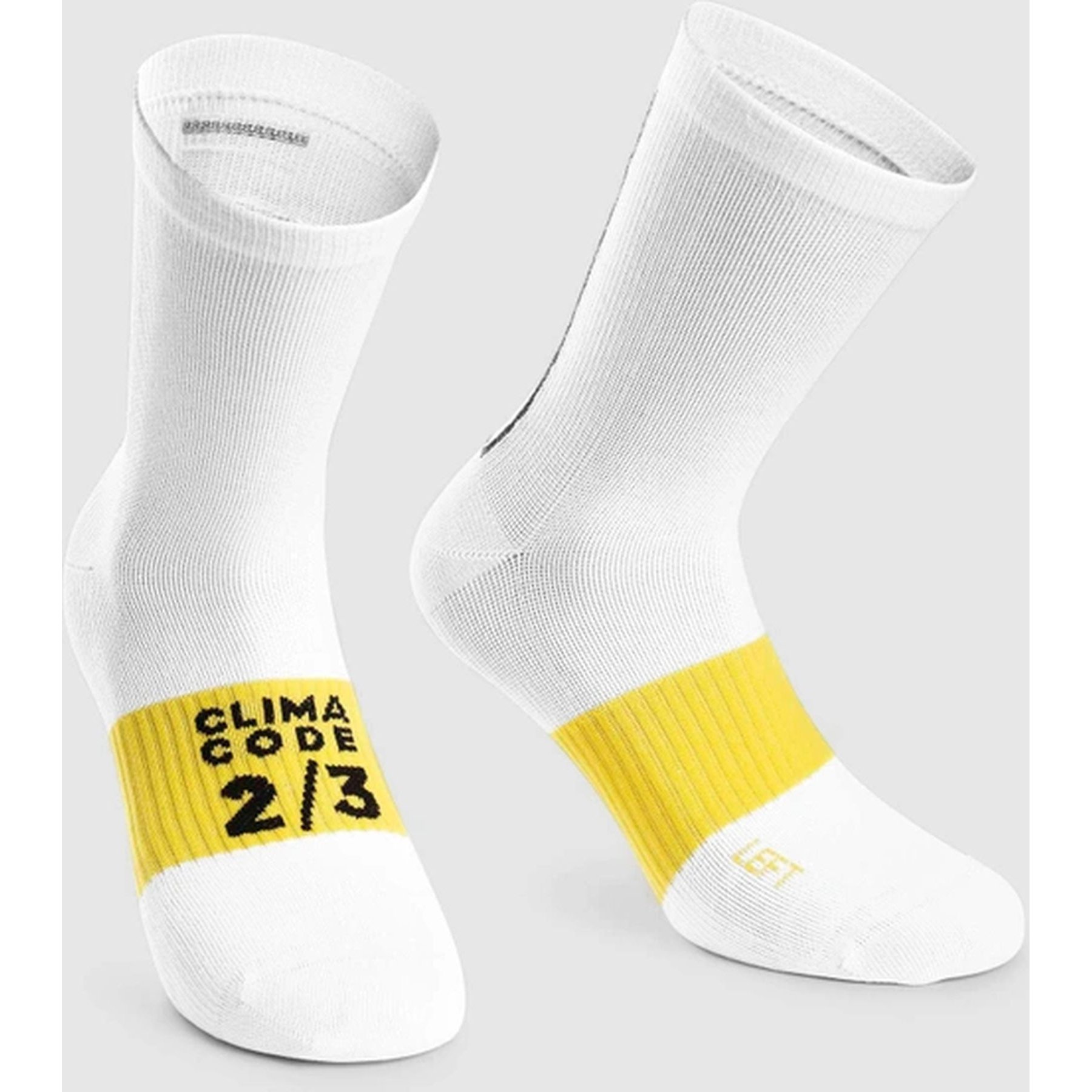 White/Yellow
