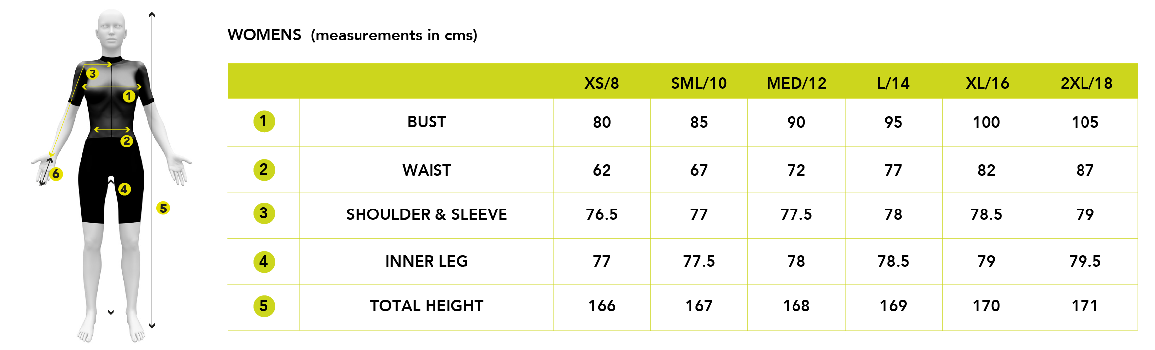 Women S Shorts Size Chart