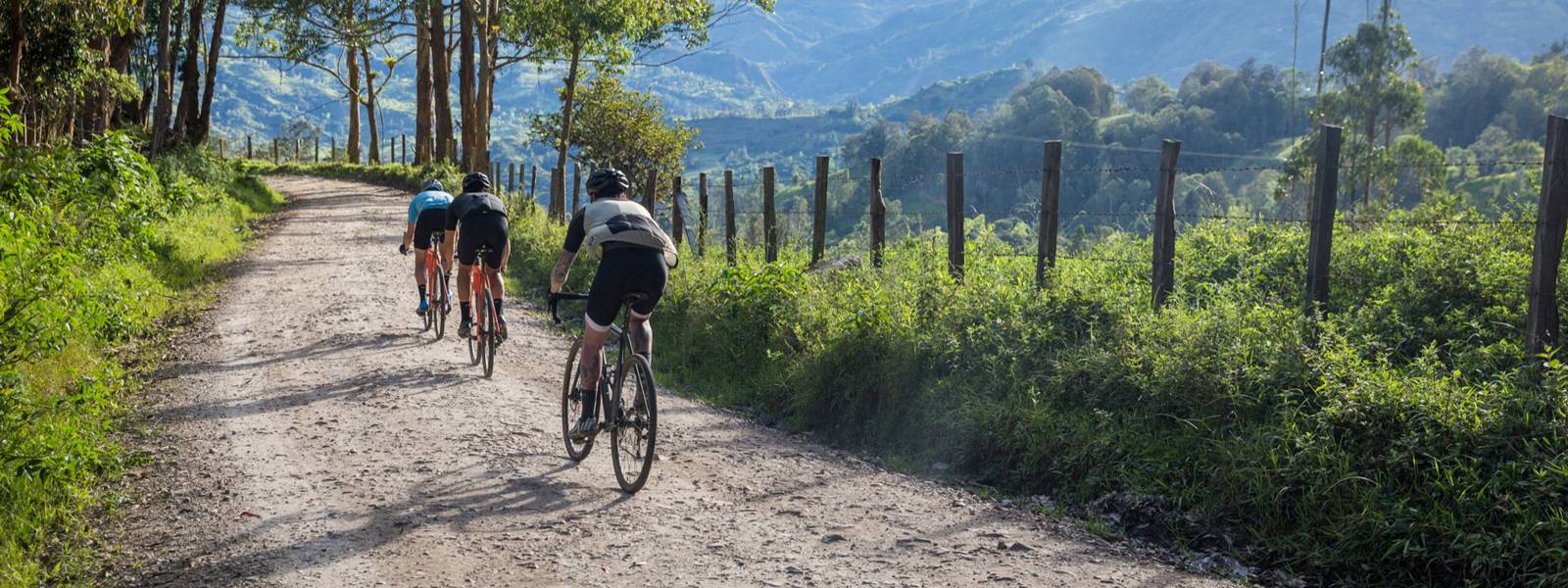 cannondale caadx 105 2020