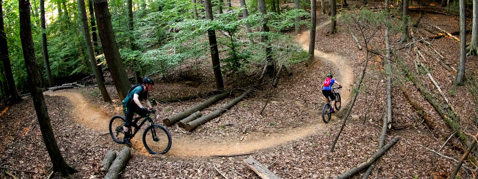 cannondale trail 4 xl