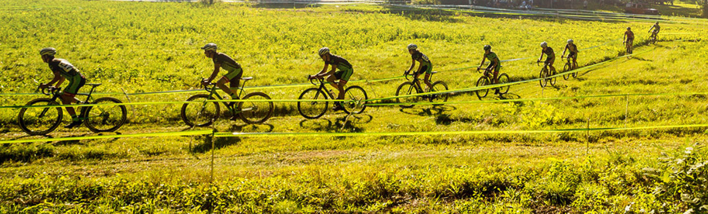bike cannondale 2019