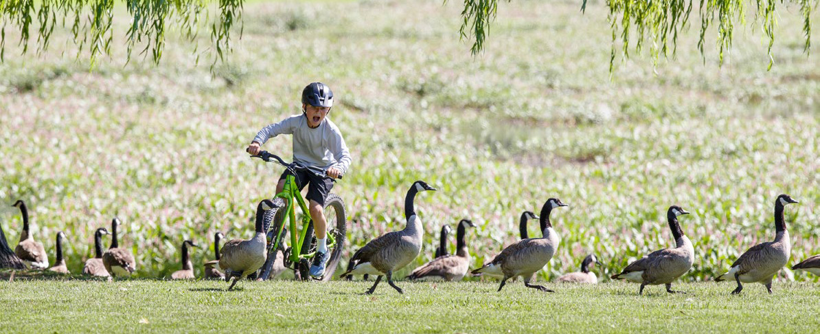 kids bike cannondale 2019