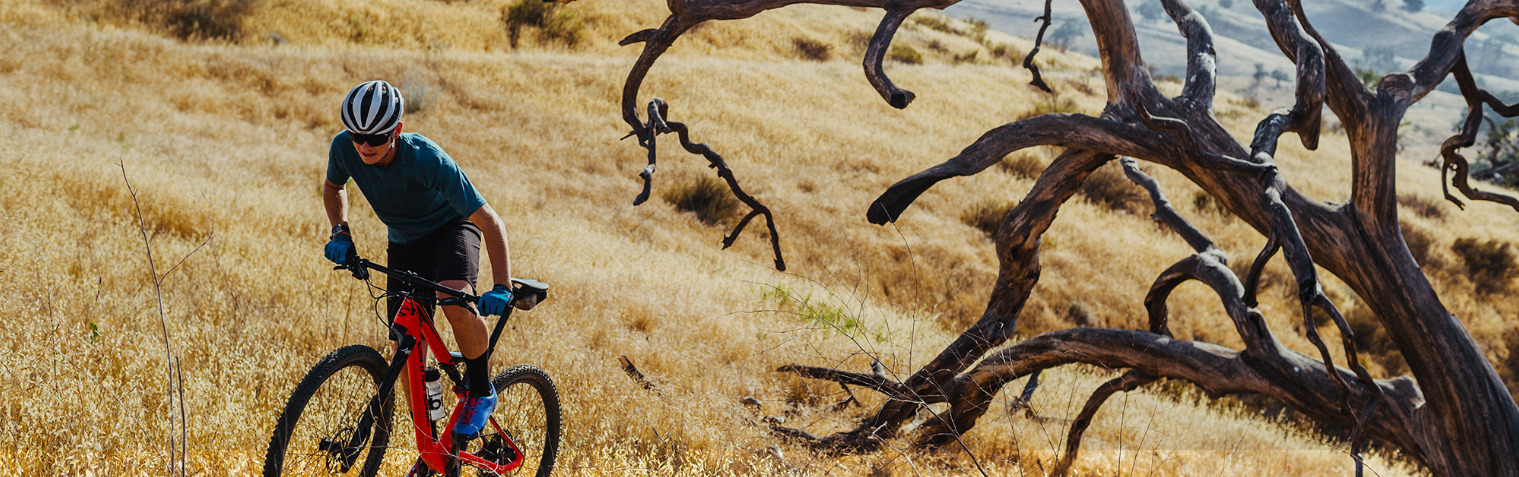Scalpel bike cannondale 2019