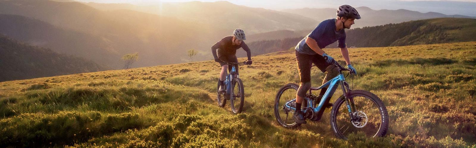 Stance e+ pro 29 electric bike clearance