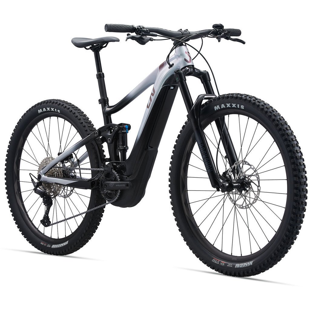 giant fahrrad e bike