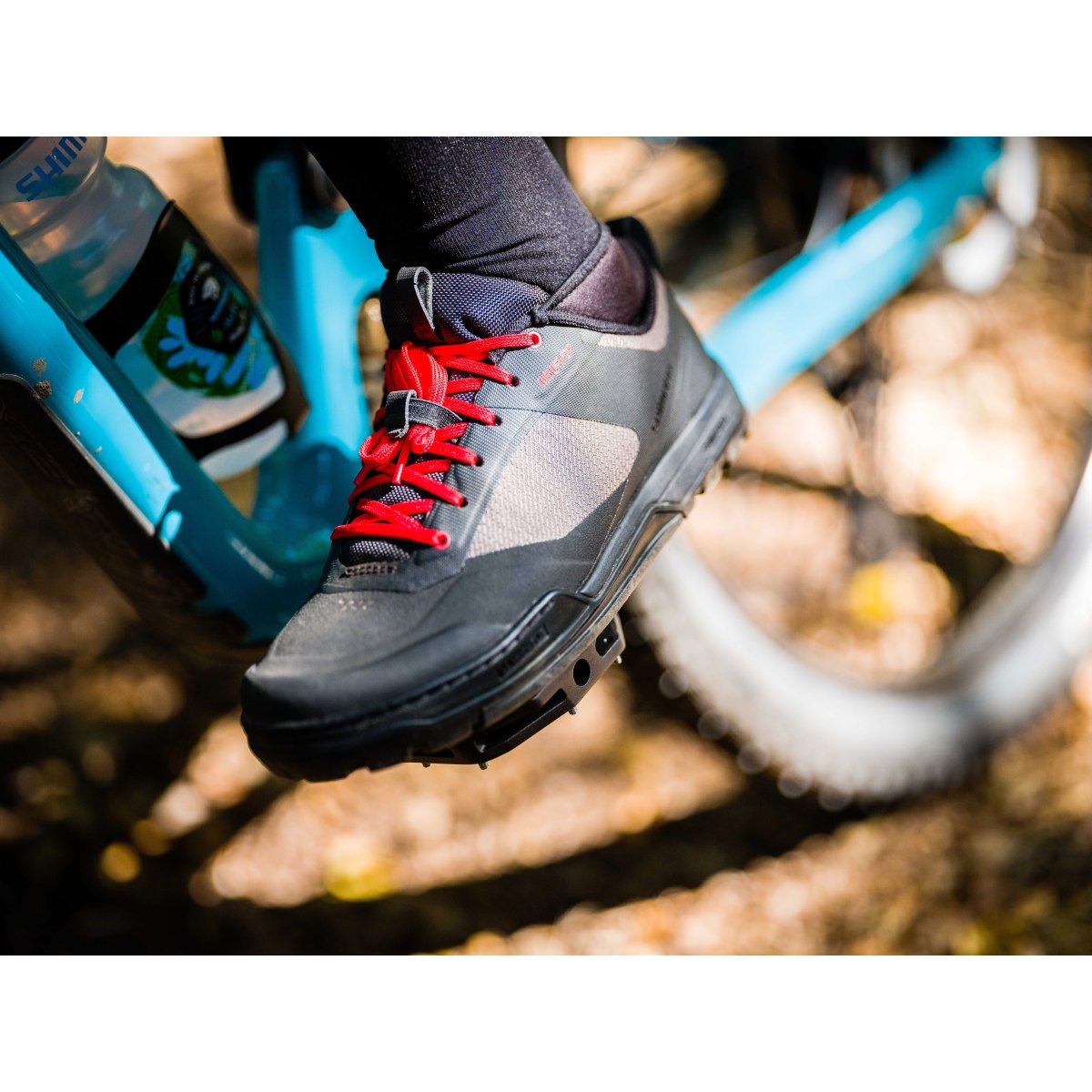shimano gr7 mtb shoes