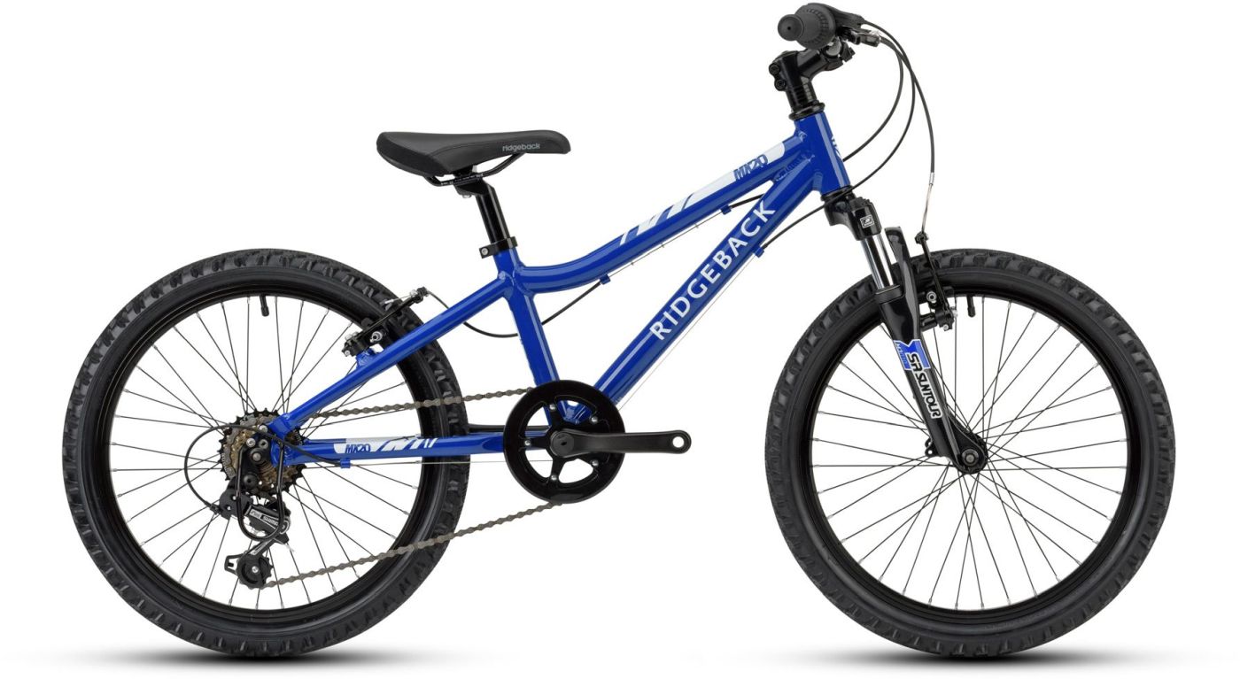 dual sport 3