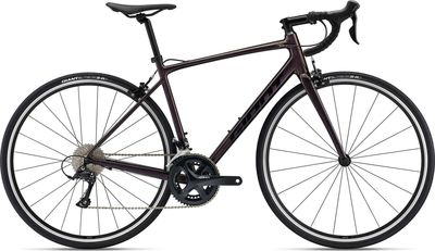 Giant Contend 1 Road Bike