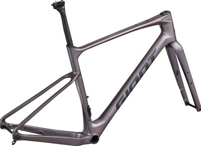 Giant Revolt Advanced Pro Gravel Frameset