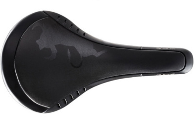 Fizik kurve bull shop