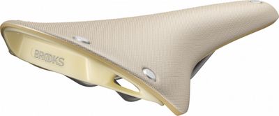 Brooks Cambium C17 Special Recycled Saddle