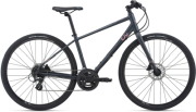 Giant liv Alight 2 DD Disc Altus Womens City Bike