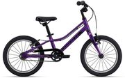 Giant ARX 16 Kids Bike