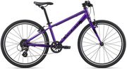 Giant ARX 24 Kids Bike