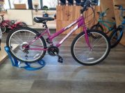 DMC 24 Girl Kids Bike