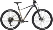 Cannondale Trail SE 1 29 NX Eagle Mountain Bike
