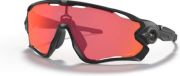 Oakley Jawbreaker Prizm Trail Torch Sunglasses