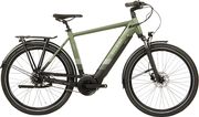 Raleigh Centros Hub Gear Electric City Bike